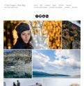 velko-blog-2014